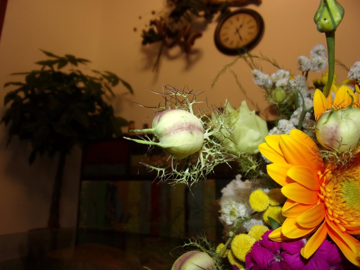 La Fontanella Bed and breakfast 3*